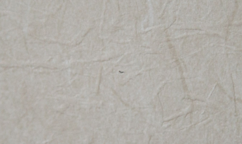 壁に跡が残らない画鋲のニンジャピンを検証 Vanblog